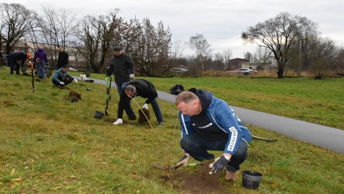 В Пскове и Волновахе «Единая Россия» провела акции по высадке кустарников и цветов